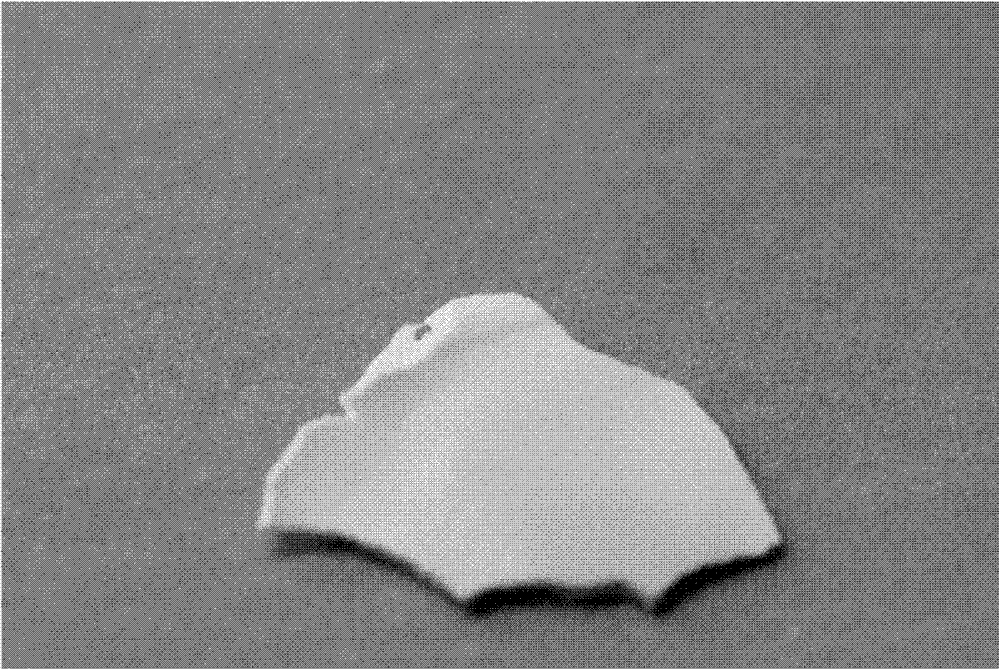 Preparation method of self-supporting crack-free photonic crystal