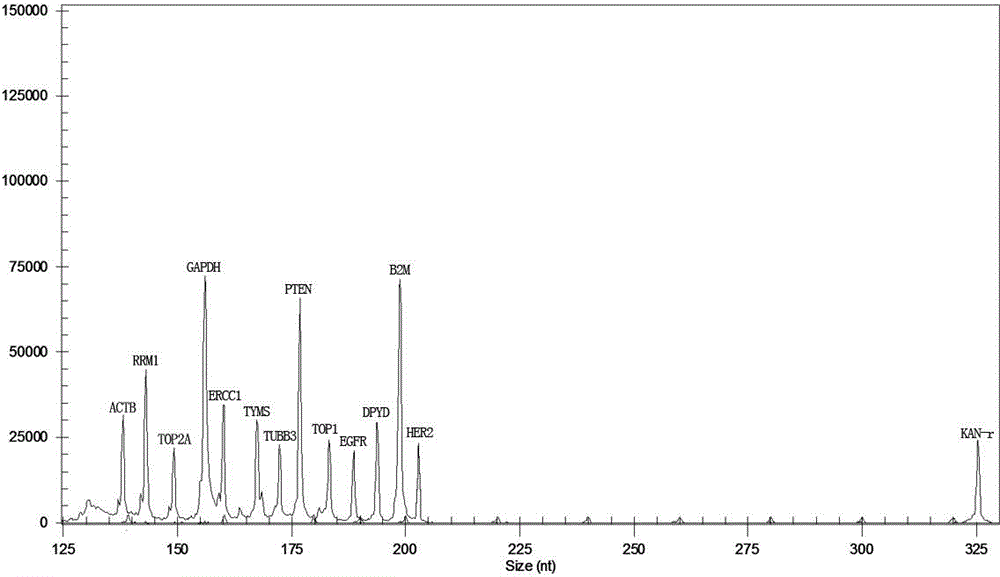 Multi-gene detection kit for selection of chemotherapy regimens