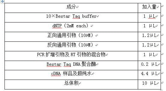 Multi-gene detection kit for selection of chemotherapy regimens