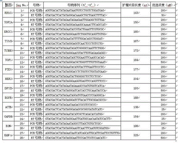 Multi-gene detection kit for selection of chemotherapy regimens