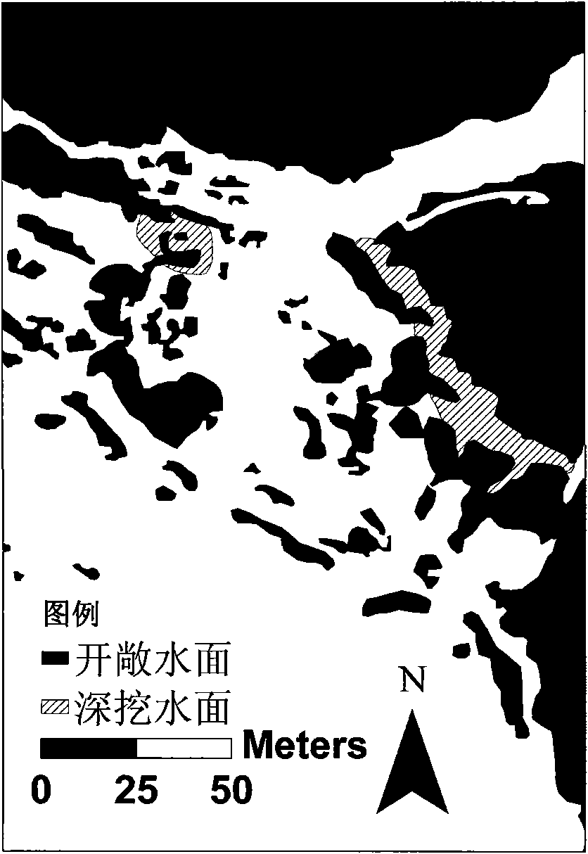 Method for restoring slash type degraded wetland