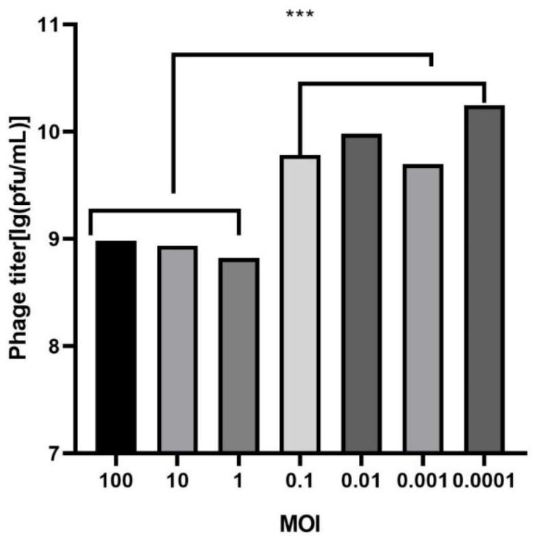 Vibrio parahaemolyticus lytic bacteriophage vB_VpP_DE17 and application thereof