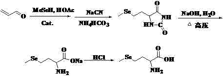 Preparation method of high-optical-purity D- or L-selenomethionine