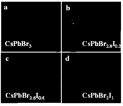 Cesium-lead halide perovskite crystal materials with high photoelectric response efficiency and stability at room temperature as well as preparation method and application of cesium-lead halide perovskite crystal materials