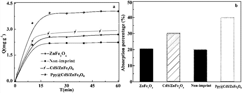 Magnetic composite photocatalyst Ppy@CdS/ZnFe2O4 and preparation method and application thereof