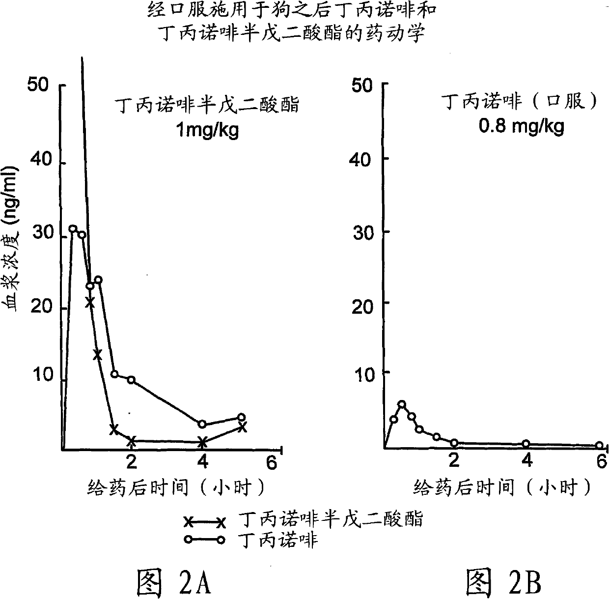 Buprenorphine derivatives and uses thereof