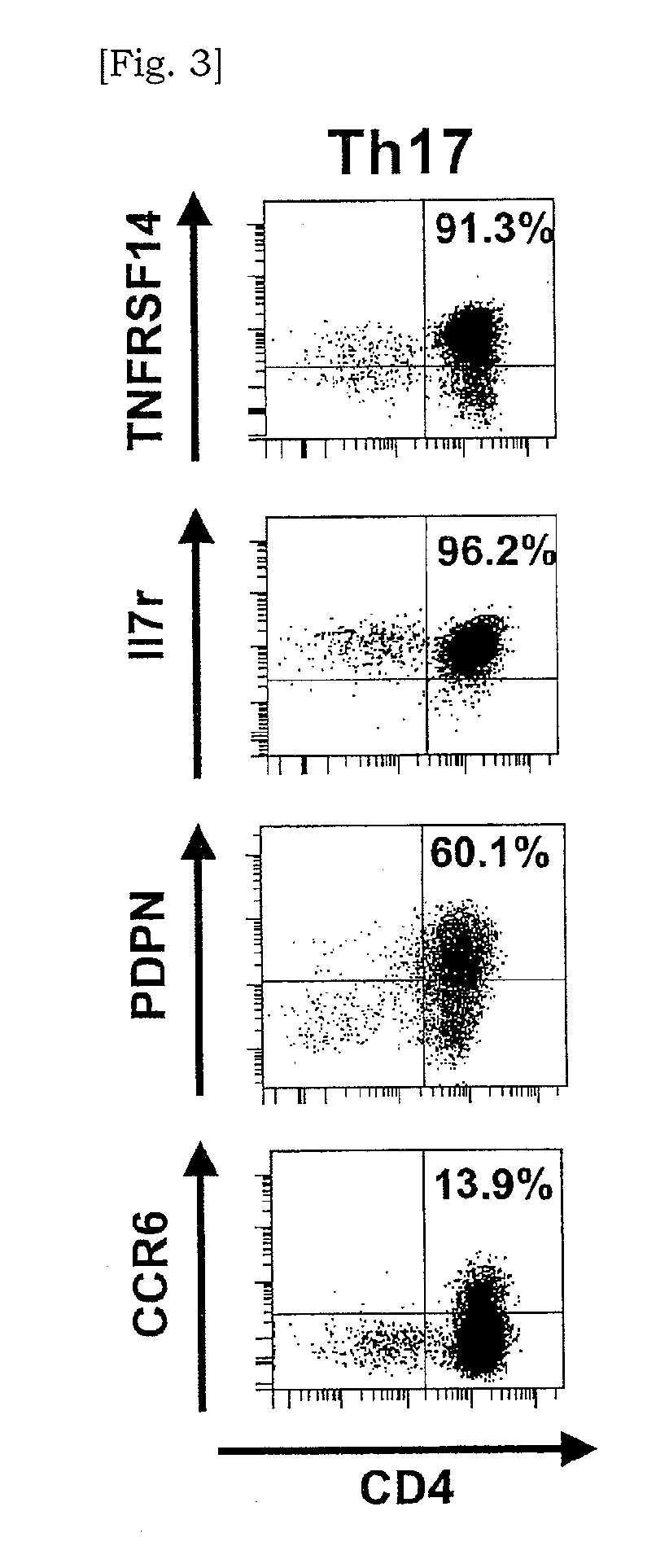 Marker for detecting il-17-producing helper t cell, and method for detecting il-17-producing helper t cell