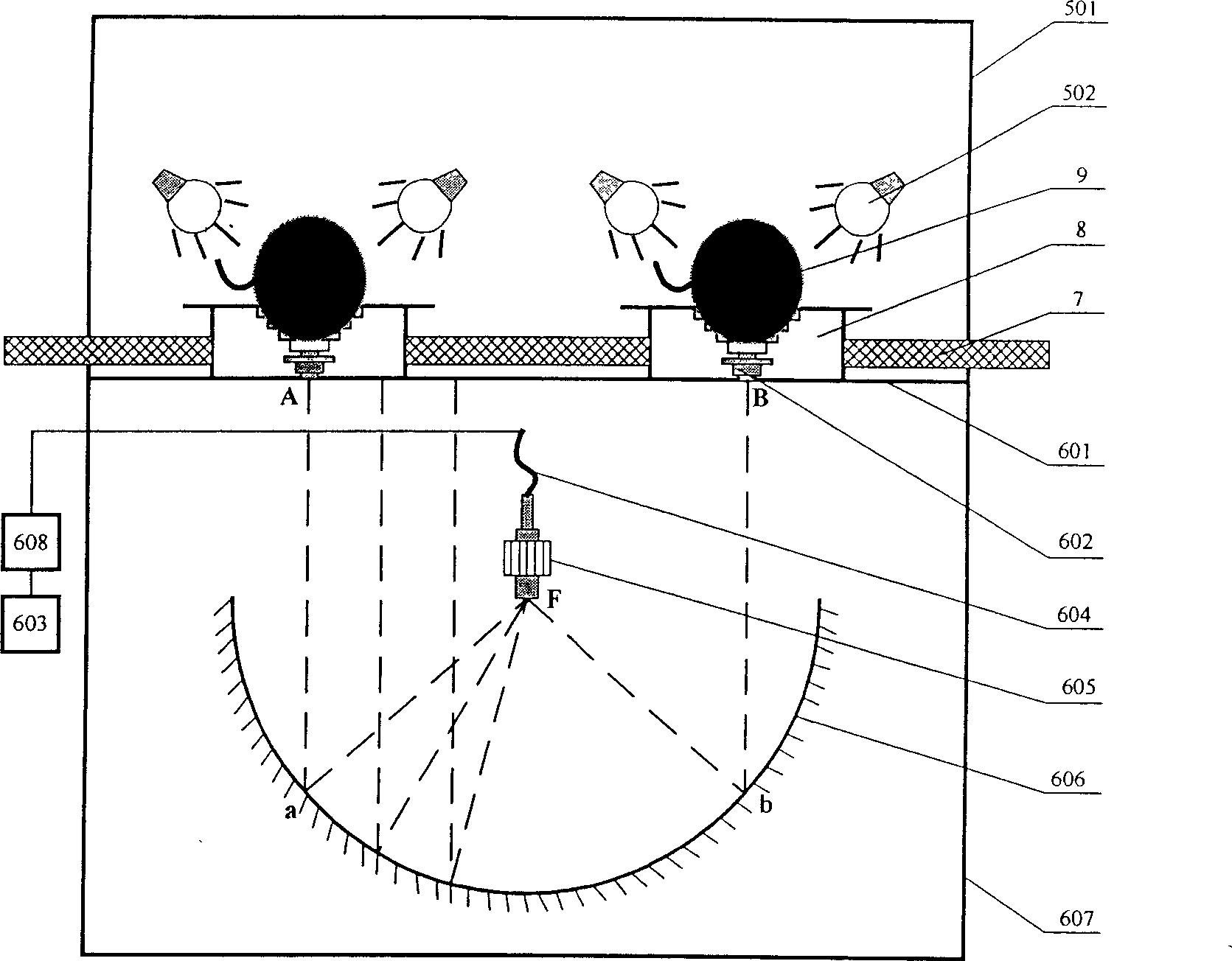 Method and apparatus for non-destructive testing of fruit internal quality based on optical properties