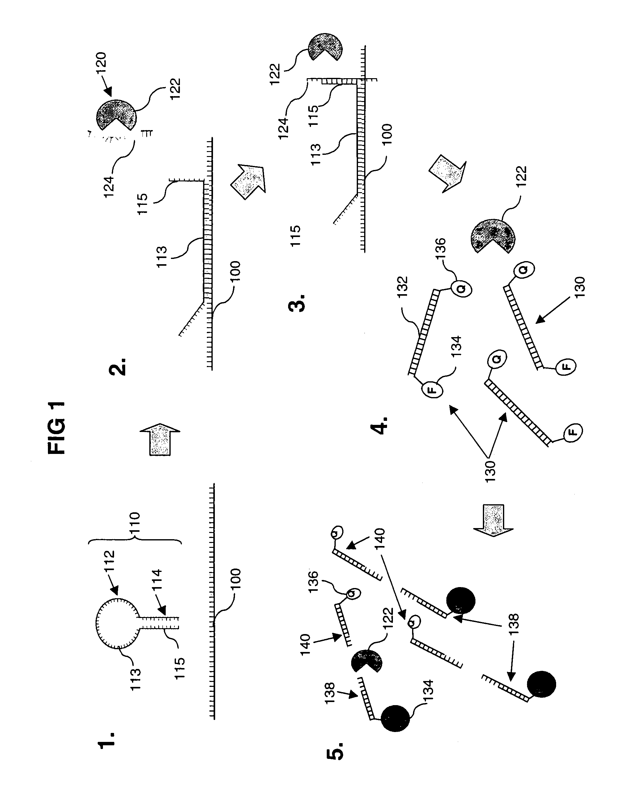 Methods for detecting a target nucleotide sequence in a sample utilising a nuclease-aptamer complex