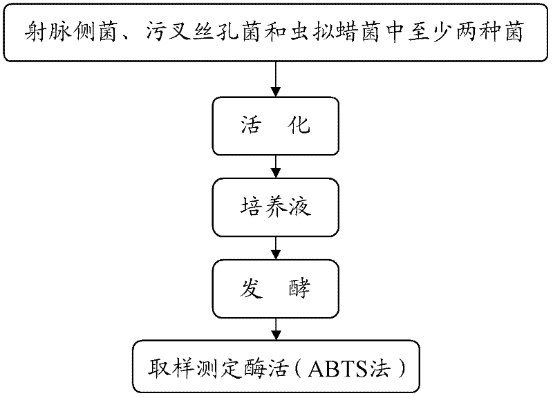 Method for producing laccase by composite fermentation of white-rot fungus