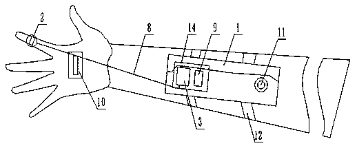 Tomato pollinator and use method thereof