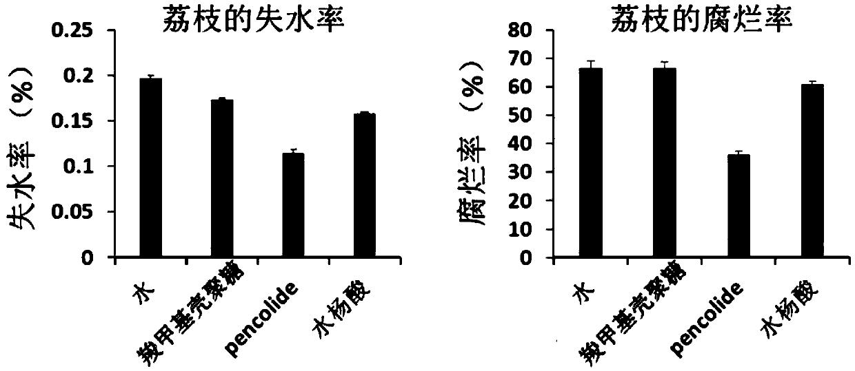 Application of compound pencolide in preparation of preservative