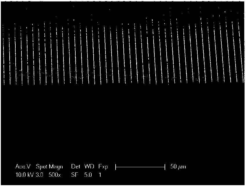 Method for growing heterojunction in silicon microchannel plate