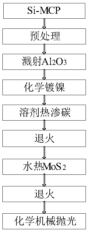 Method for growing heterojunction in silicon microchannel plate