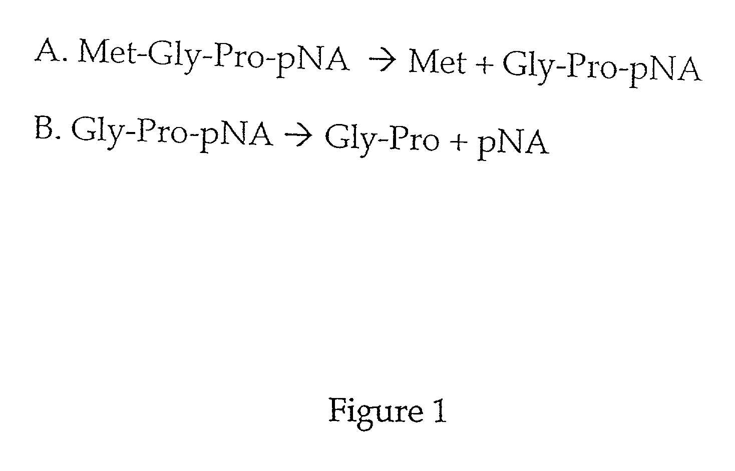 Methods for identifying inhibitors of methionine aminopeptidases