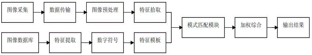 Intelligent recognition system for small mammals (rats)