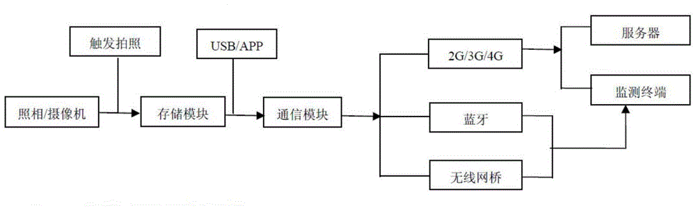 Intelligent recognition system for small mammals (rats)