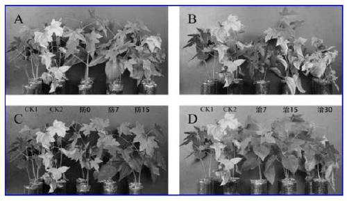 A kind of composite antibacterial agent and its application method