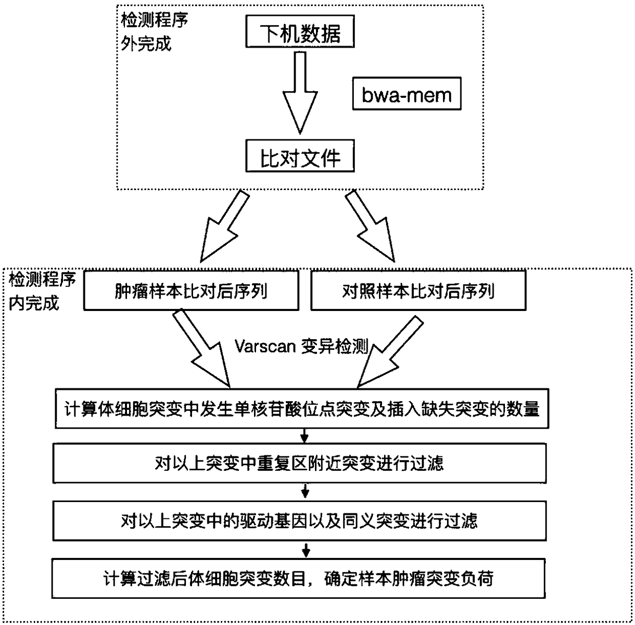 Method and device for detecting tumor mutational load by using high-throughput sequencing data