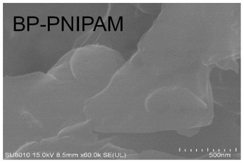 Application of black phosphorus composite material