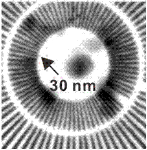 Synchronous X-ray visible imaging tag and preparation method thereof