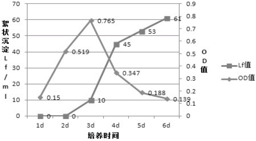 Culture medium for preparing tetanus toxin and application thereof