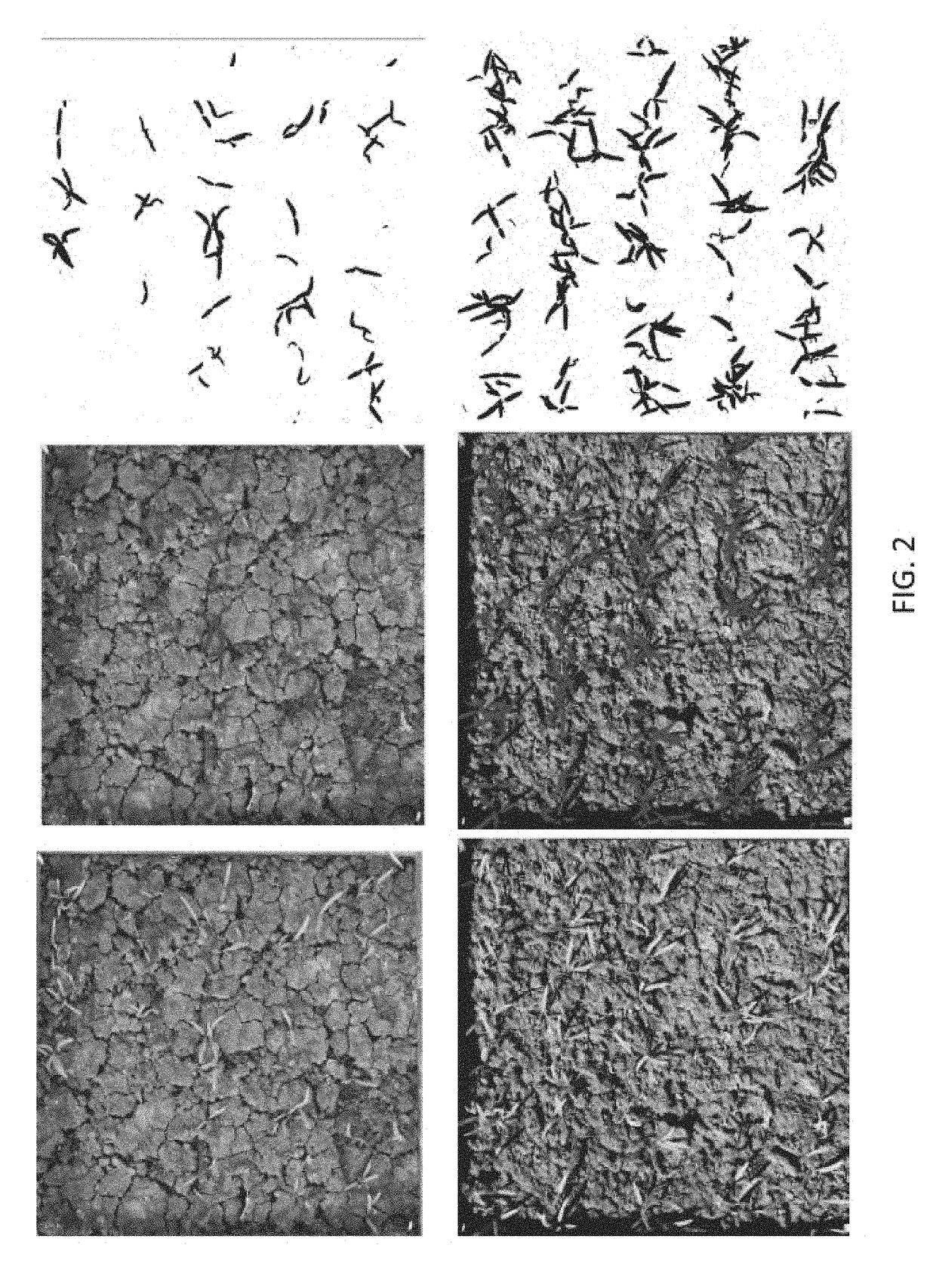 Anti-fungal seed treatment formulations, treated seeds, and methods