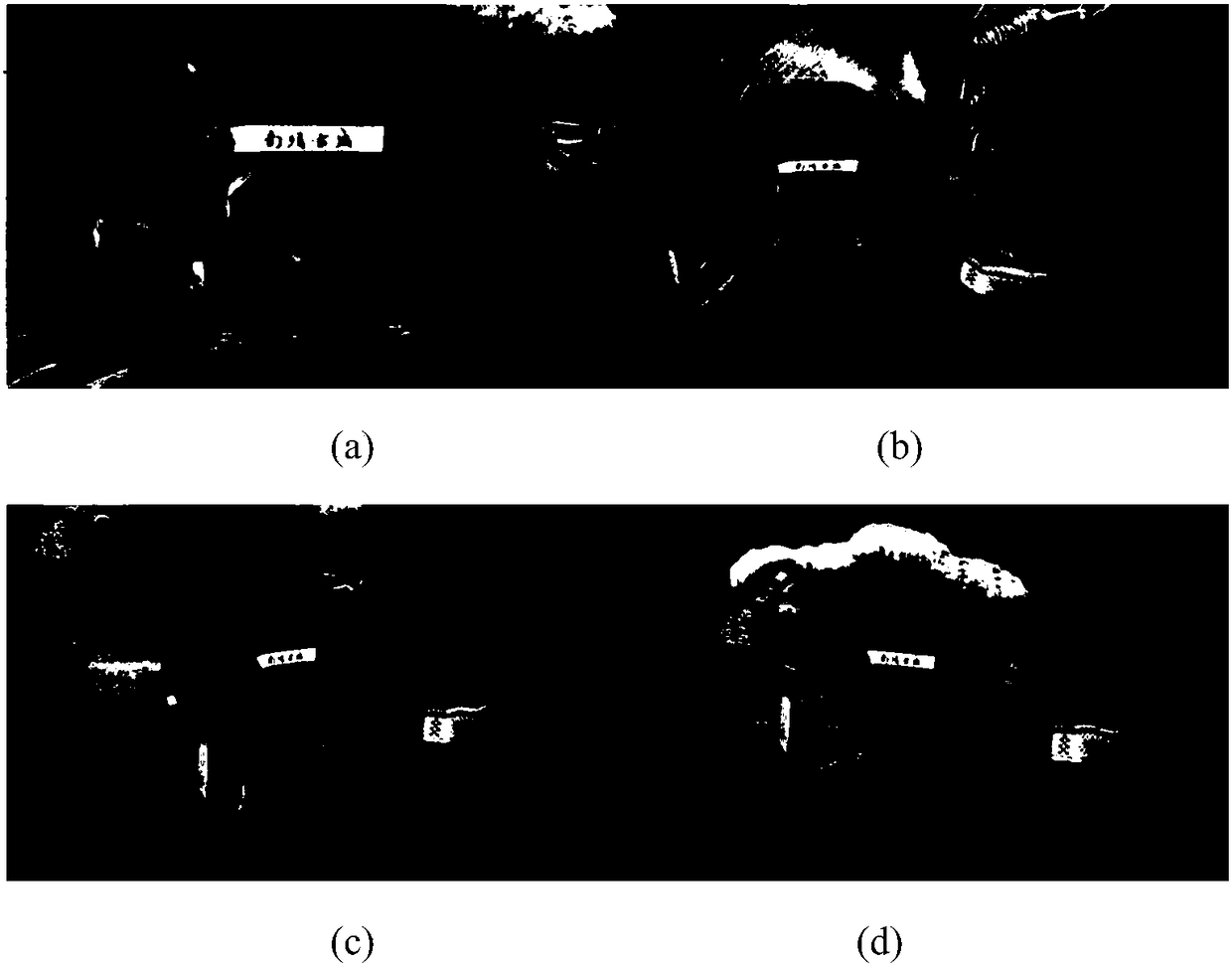 Method and device for generating ancient building model based on visual three-dimensional reconstruction