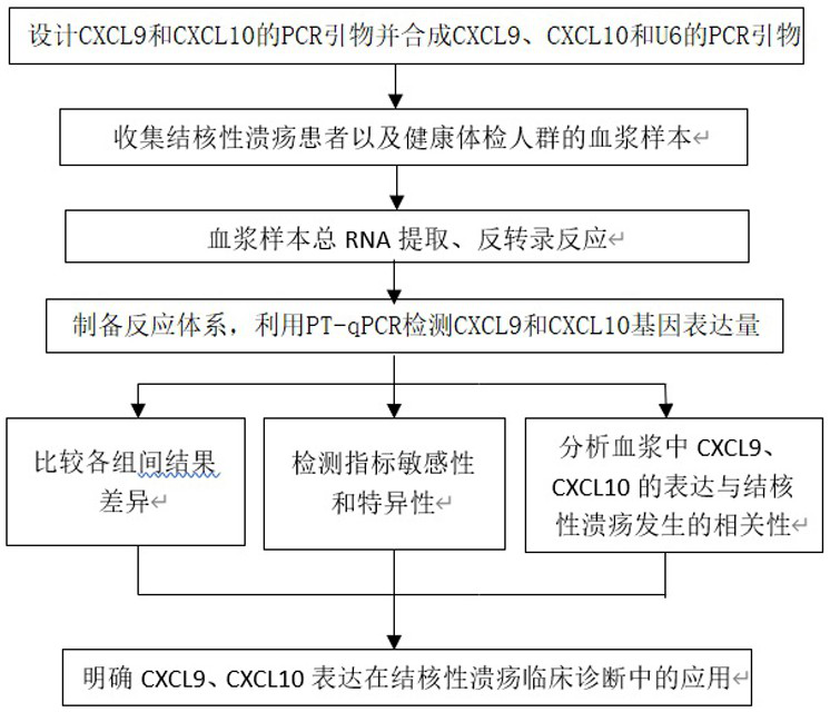 A PCR primer combination, kit and application for the diagnosis of tuberculous ulcer based on rt-qPCR