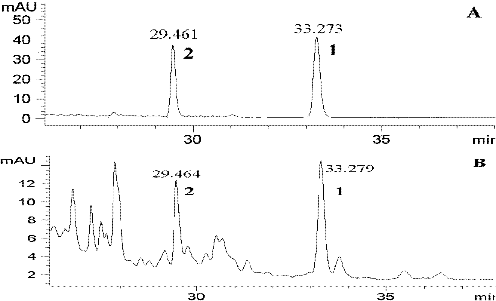 Endophytic fungus in salvia miltiorrhiza bunge and application thereof