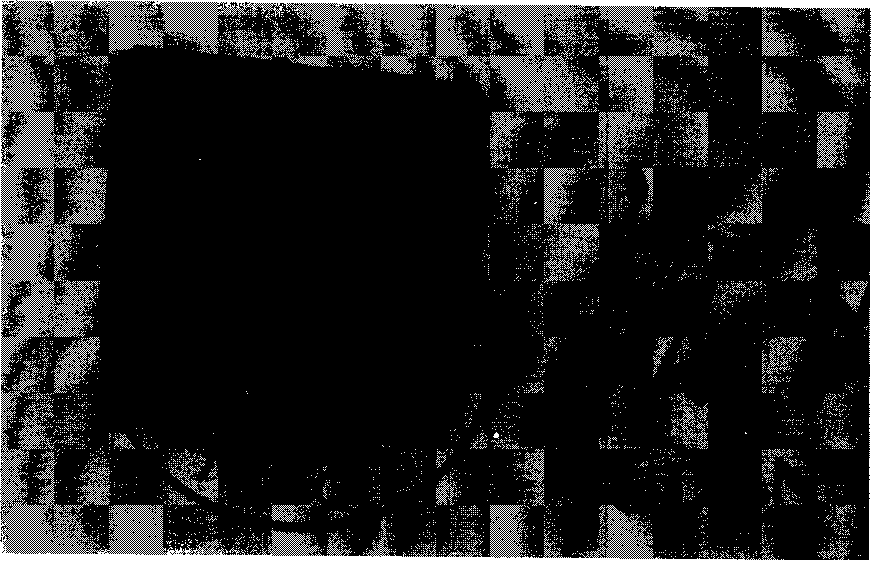 Complex alloy thin film with hydrogen-inducing off-coloring function and production thereof