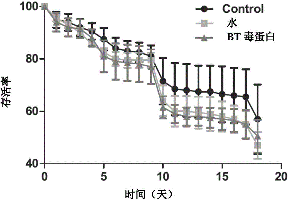 Method for the detection of potential toxicity of gastrotoxic insecticides or genetically modified insecticidal proteins to larvae of Apis mellifera