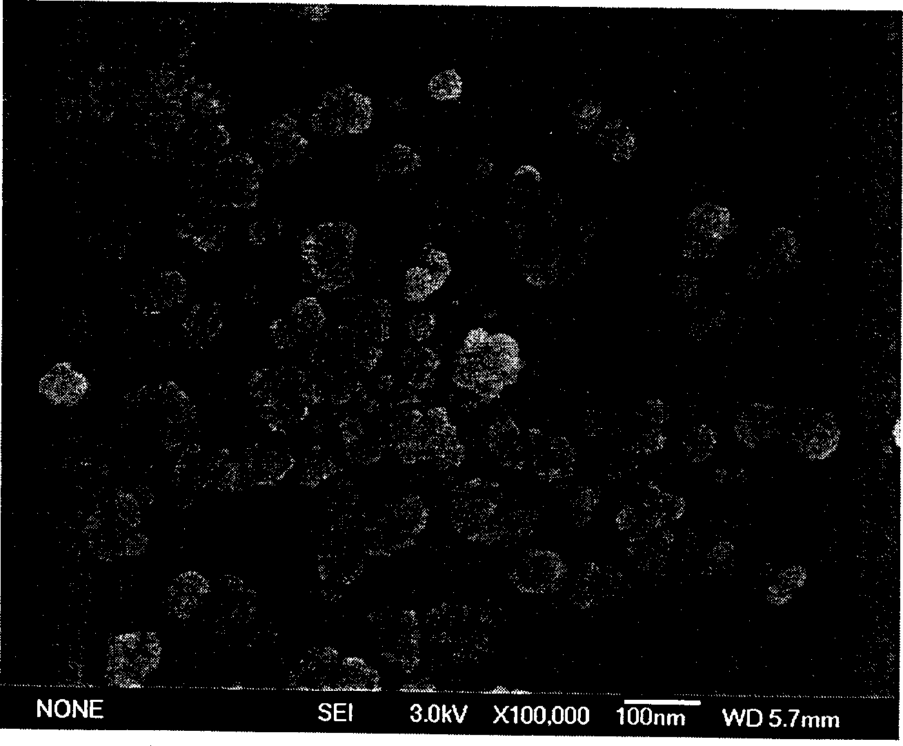 Preparation of high-purity nanometer silicon dioxide