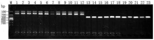 A method for identification of sea bream germplasm and its application