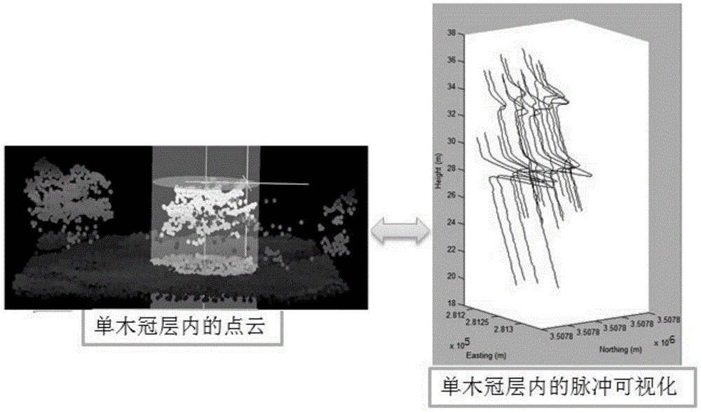 A Single Tree Recognition Method Based on Integrated Features of Lidar Waveform