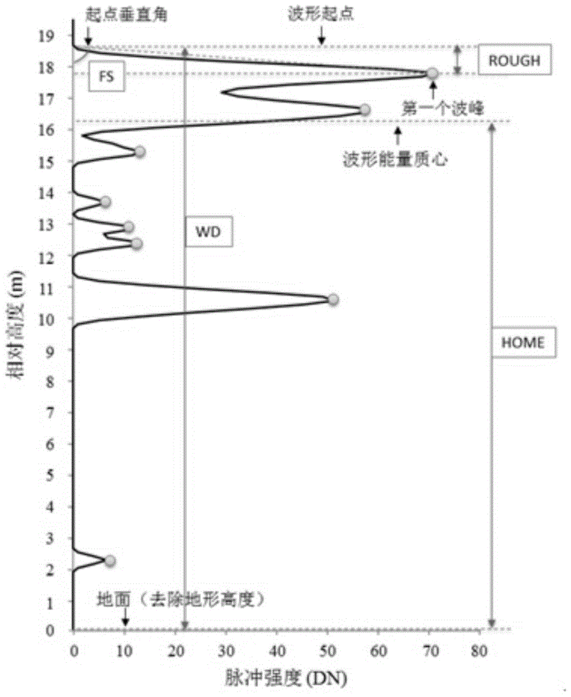 A Single Tree Recognition Method Based on Integrated Features of Lidar Waveform