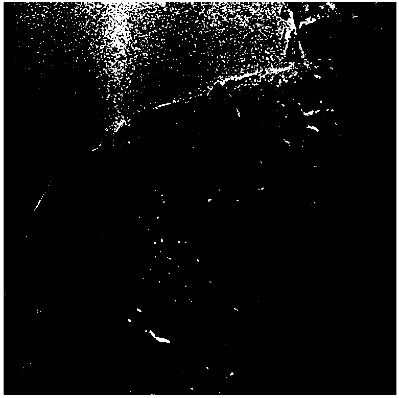 Preparation method of two-dimensional boron nitride nanosheet