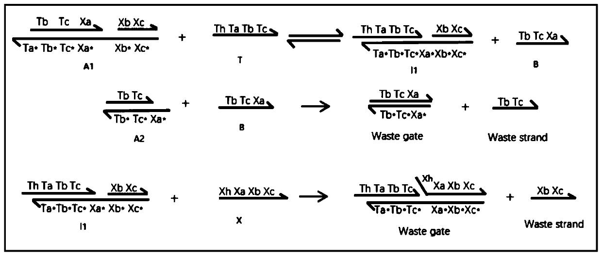 Logic circuit and device based on DNA strand displacement