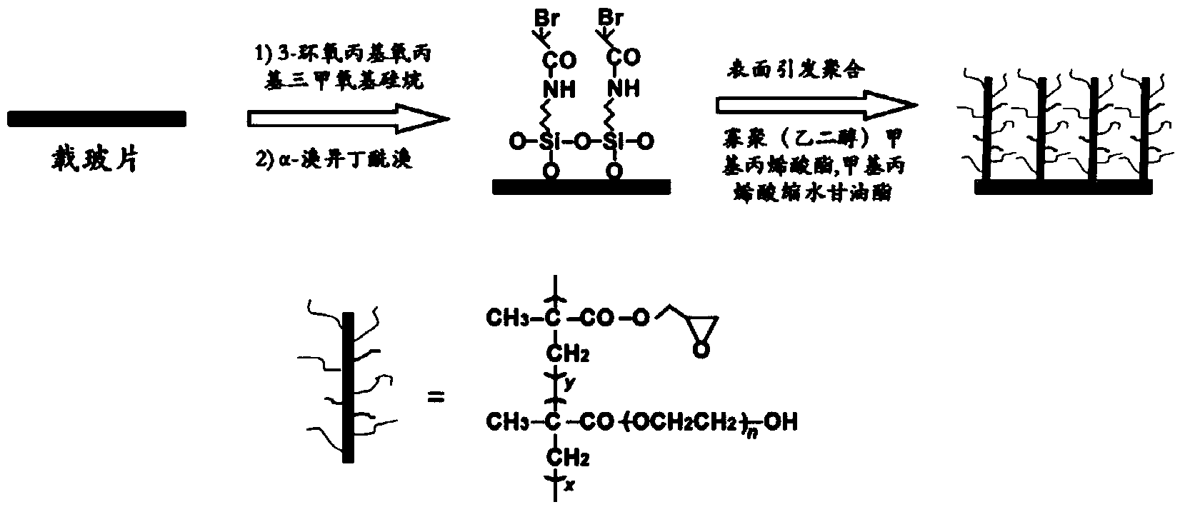 Method for preparing dendritic-polymer-based microarray antibody chip and product thereof