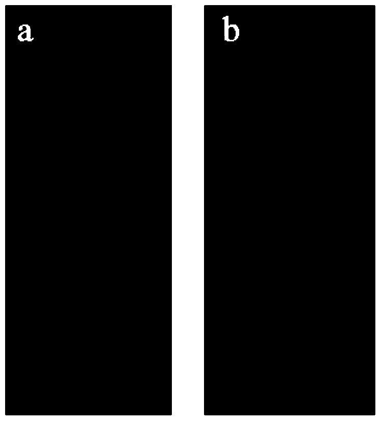 Method for preparing dendritic-polymer-based microarray antibody chip and product thereof