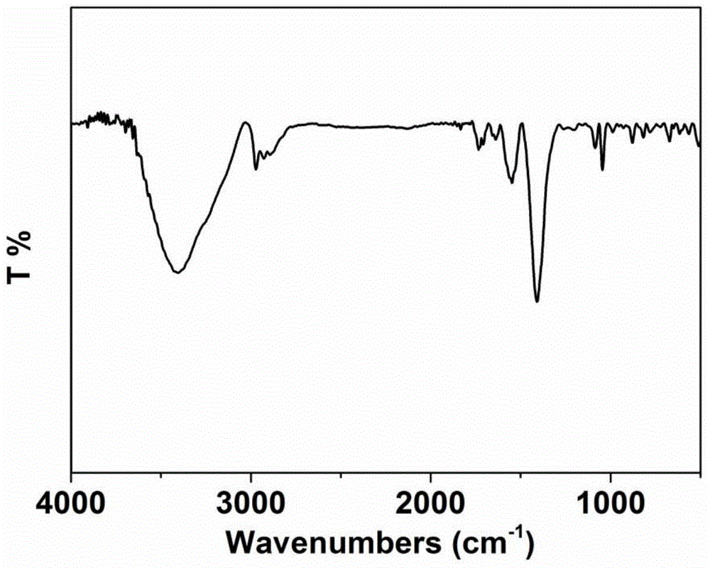 Non-noble metal-nitrogen-carbon oxygen reduction catalyst and preparation method thereof