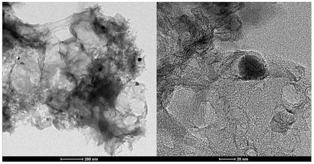 Non-noble metal-nitrogen-carbon oxygen reduction catalyst and preparation method thereof