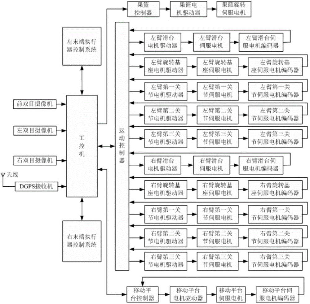 Double-arm fruit picking robot and fruit picking method