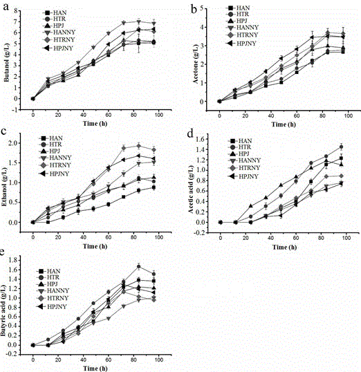 Pretreatment method for producing butanol by fermentation of bagasse