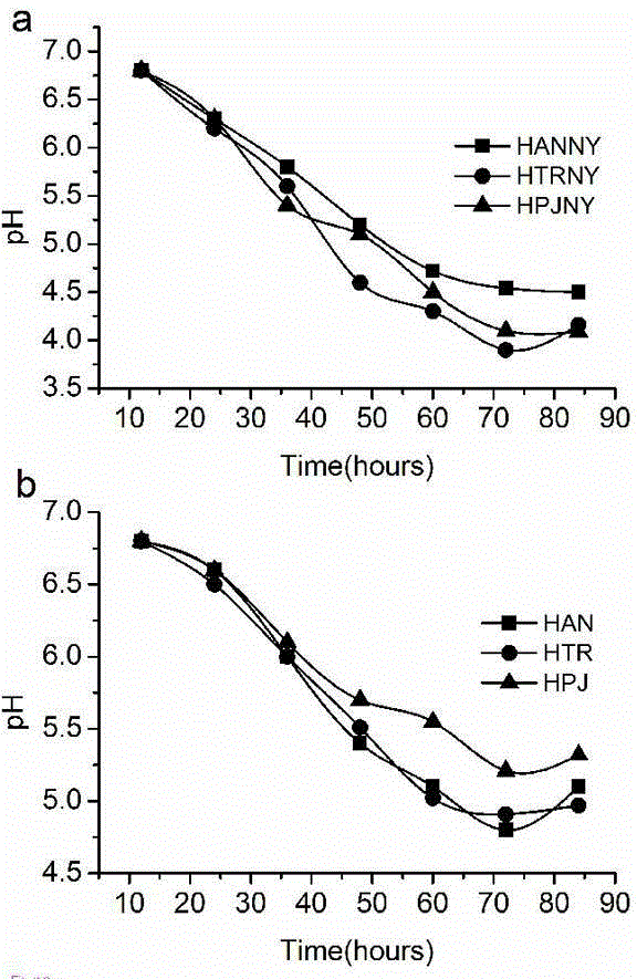 Pretreatment method for producing butanol by fermentation of bagasse