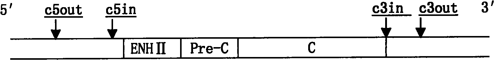 Double expression plasmid of hepatitis B virus, and construction method and application thereof