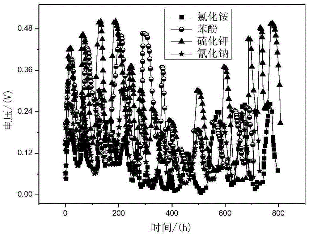 Method for coking wastewater degradation and synchronous power generation by taking coking active bacterium as biocatalyst