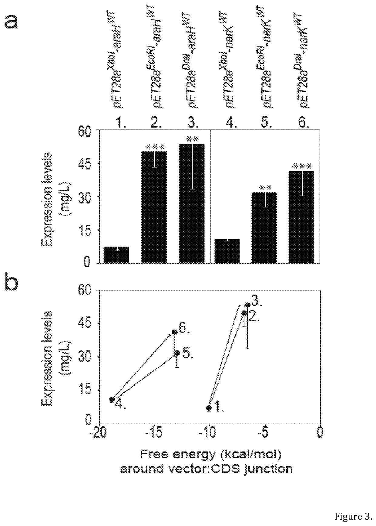 Selective optimization of a ribosome binding site for protein production