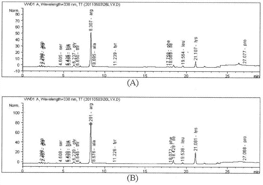 Method for improving yield of arginine of corynebacterium crenatum by synthesis way through knocking out proline