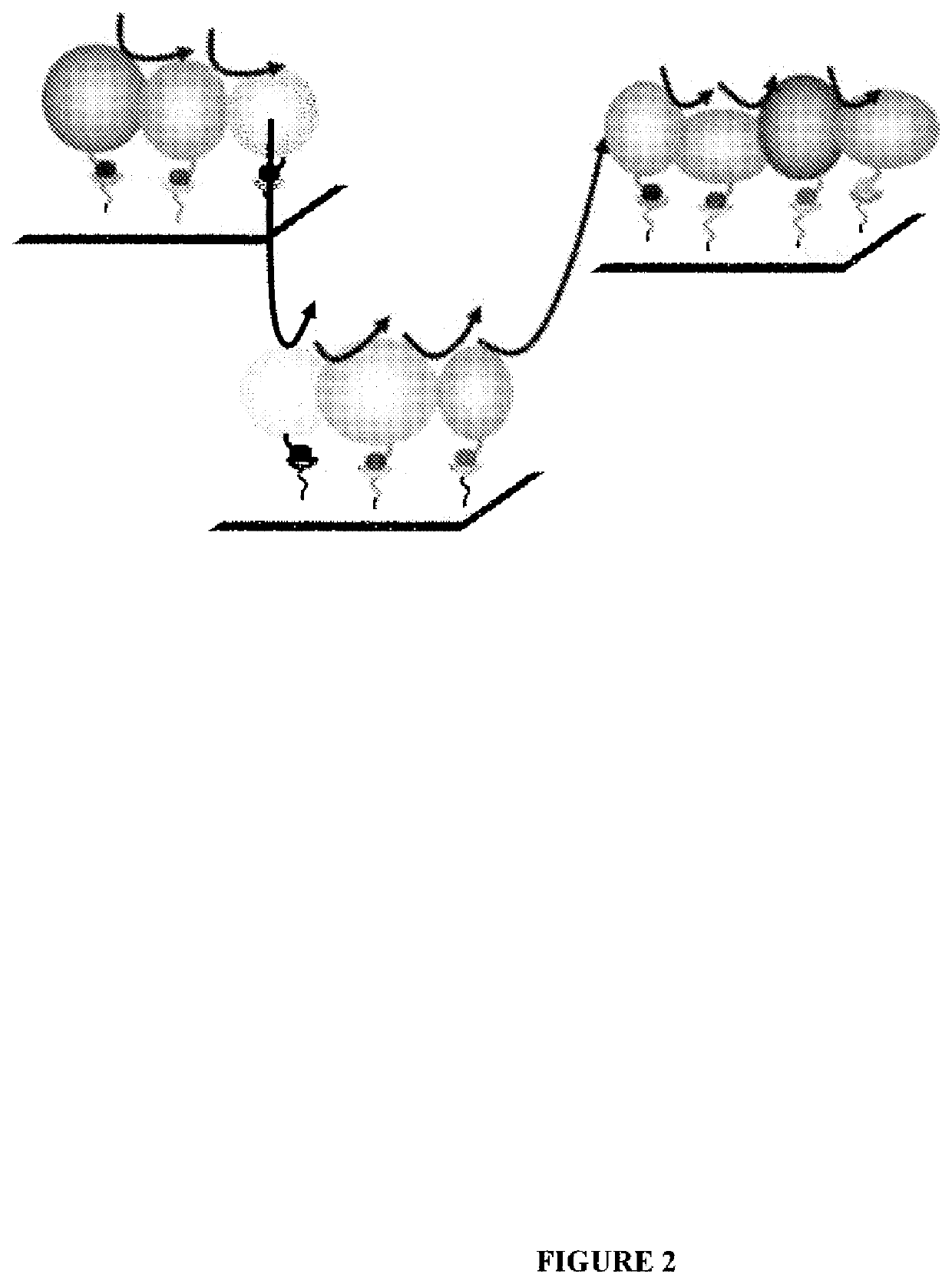 System for production of adenosine triphosphate